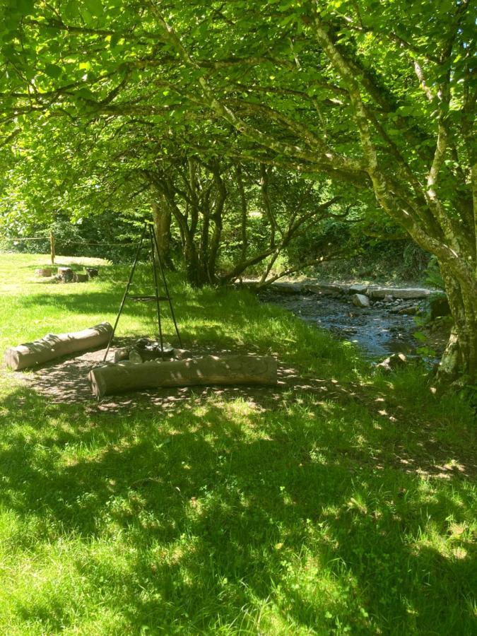 Swaledale Shepherd'S Hut Hotell Newton Abbot Exteriör bild